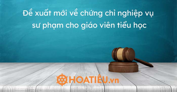Đề xuất mới về chứng chỉ nghiệp vụ sư phạm cho giáo viên tiểu học