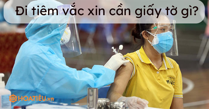 Đi tiêm vắc xin cần giấy tờ gì?