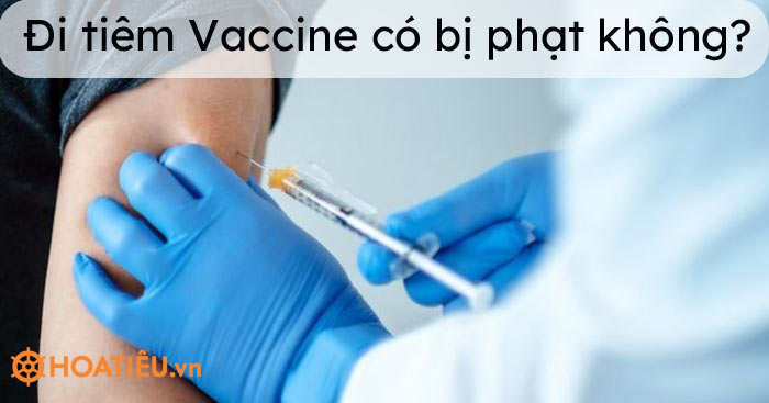 Đi tiêm Vaccine có bị phạt không?