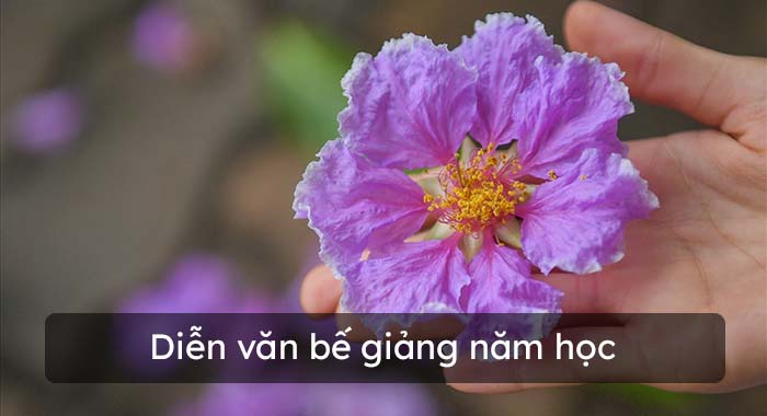 Diễn văn bế giảng năm học