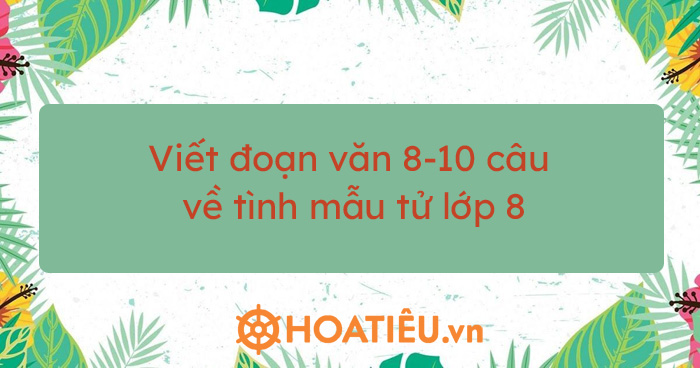 Đoạn văn về tình mẫu tử lớp 8 hay chọn lọc