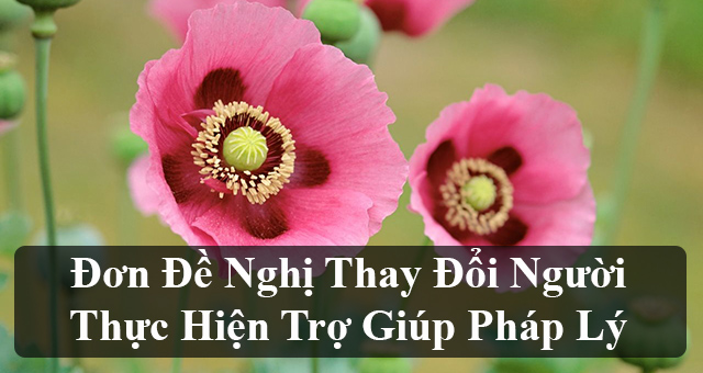 Đơn đề nghị thay đổi người thực hiện trợ giúp pháp lý