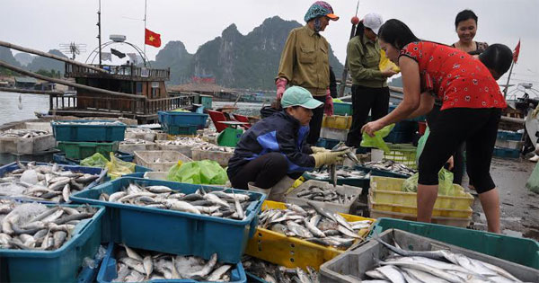 Mẫu đơn xin gia hạn giấy phép khai thác thuỷ sản