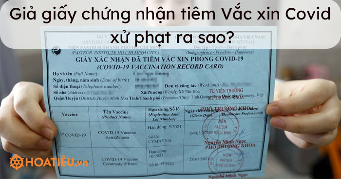 Giả giấy chứng nhận tiêm Vắc xin Covid 19 xử phạt ra sao?