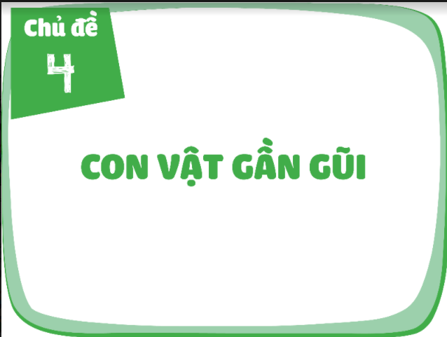 Giáo án điện tử Mỹ thuật lớp 1 sách Cùng học để phát triển năng lực