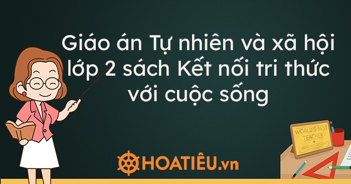 Giáo án Tự nhiên và xã hội lớp 2 sách Kết nối tri thức với cuộc sống (Đầy đủ cả năm)
