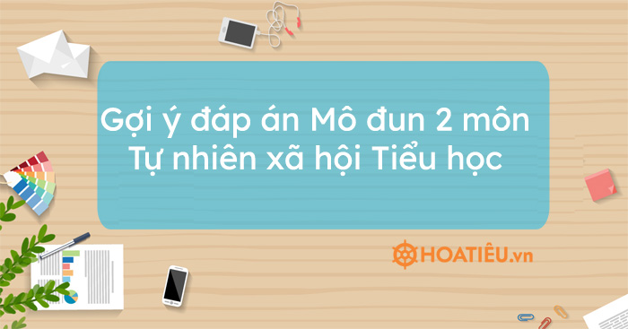 Gợi ý đáp án Mô đun 2 môn Tự nhiên xã hội Tiểu học