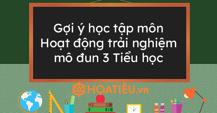 Gợi ý học tập môn Hoạt động trải nghiệm mô đun 3 Tiểu học