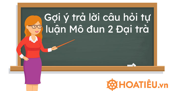 Gợi ý trả lời câu hỏi tự luận Mô đun 2 đại trà