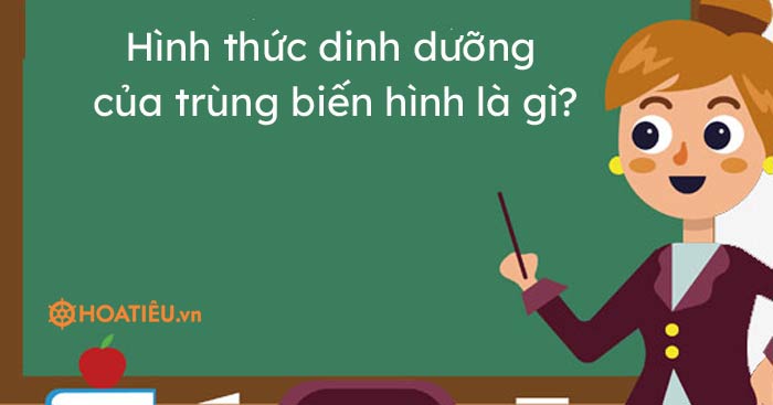 Hình thức dinh dưỡng của trùng biến hình là gì?