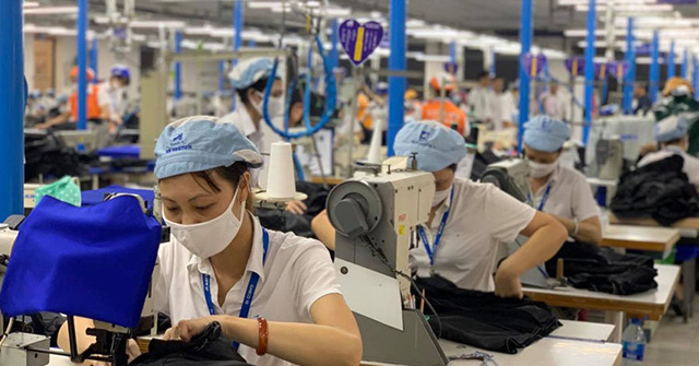 Hướng dẫn việc tạm dừng đóng vào quỹ hưu trí và tử tuất
