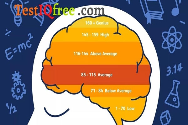 IQ là gì và tầm quan trọng trong việc học ngôn ngữ