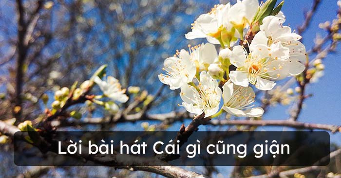 Lời bài hát Cái gì cũng giận