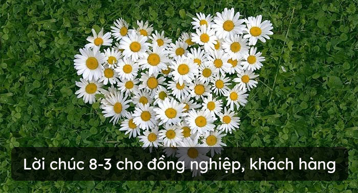 Lời chúc 8-3 cho đồng nghiệp, khách hàng