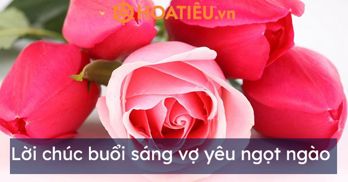 Lời chúc buổi sáng vợ yêu ngọt ngào