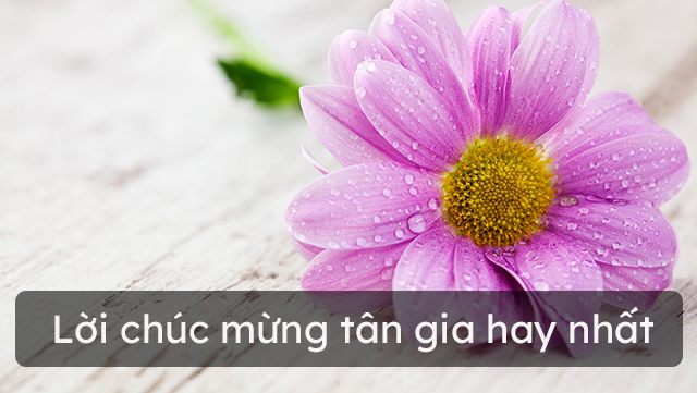 Lời chúc mừng tân gia hay nhất