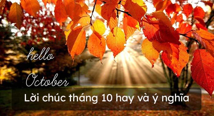Lời chúc tháng 10, lời chúc đầu tháng hay và ý nghĩa