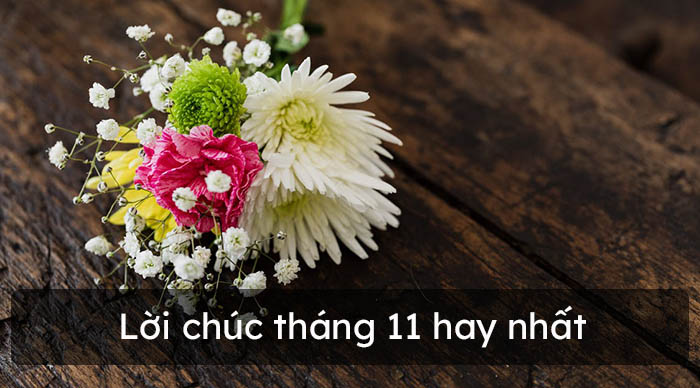 Lời chúc tháng 11 hay nhất