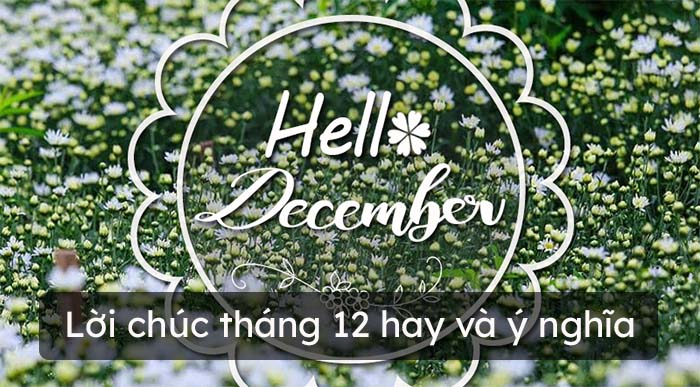 Lời chúc tháng 12 hay nhất