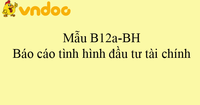 Mẫu B12a-BH: Báo cáo tình hình đầu tư tài chính