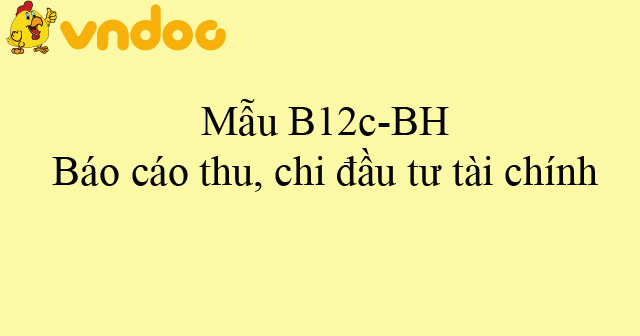 Mẫu B12c-BH: Báo cáo thu, chi đầu tư tài chính