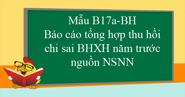 Mẫu B17a-BH: Báo cáo tổng hợp thu hồi chi sai BHXH năm trước nguồn NSNN