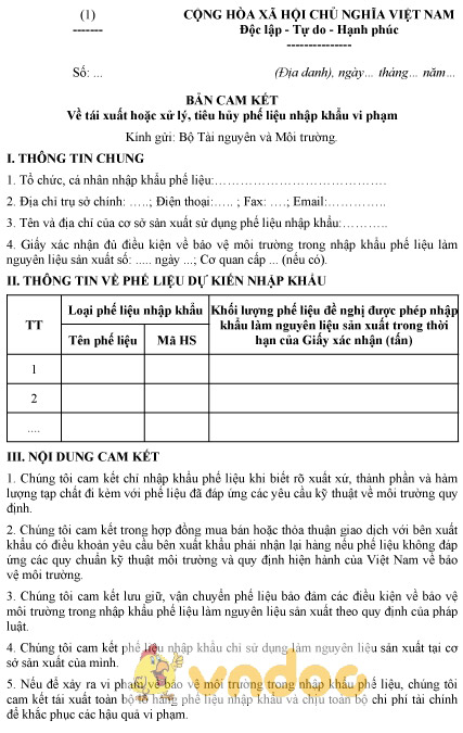 Mẫu bản cam kết tái xuất hoặc xử lý, tiêu hủy phế liệu nhập khẩu vi phạm