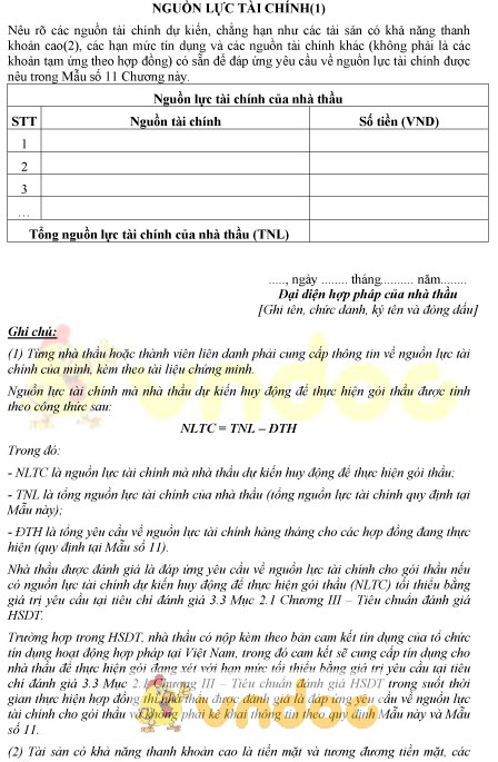 Mẫu bảng nguồn lực tài chính