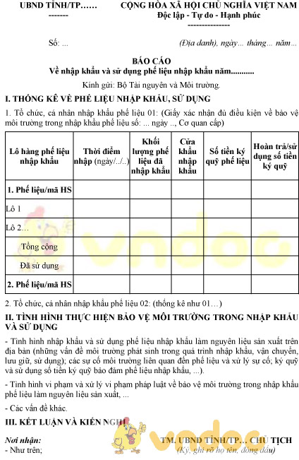 Mẫu báo cáo nhập khẩu và sử dụng phế liệu nhập khẩu của cá nhân tổ chức trên địa bàn
