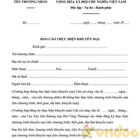 Báo cáo khuyến mại