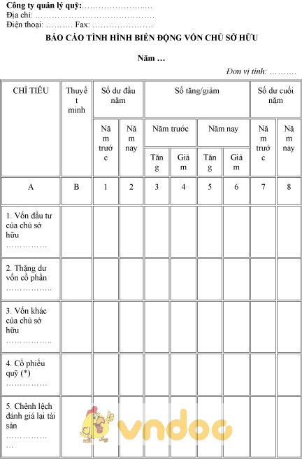 Mẫu báo cáo tình hình biến động vốn chủ sở hữu