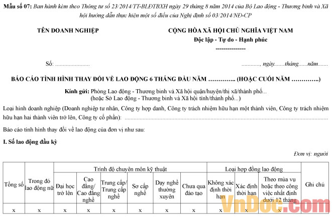 Mẫu báo cáo tình hình thay đổi lao động