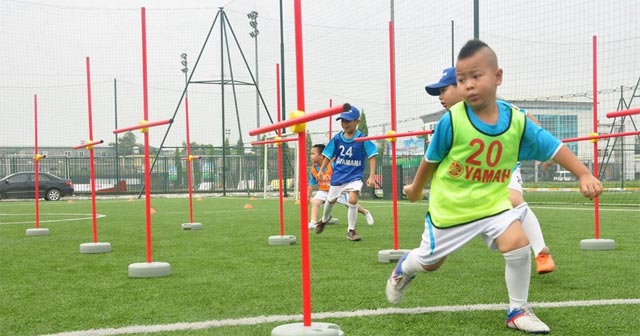Mẫu đơn đề nghị đăng cai tổ chức giải thi đấu vô địch tỉnh, thành phố trực thuộc trung ương