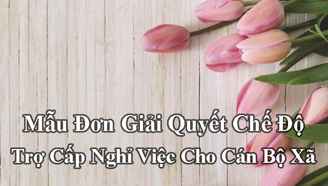 Mẫu đơn đề nghị giải quyết chế độ trợ cấp nghỉ việc