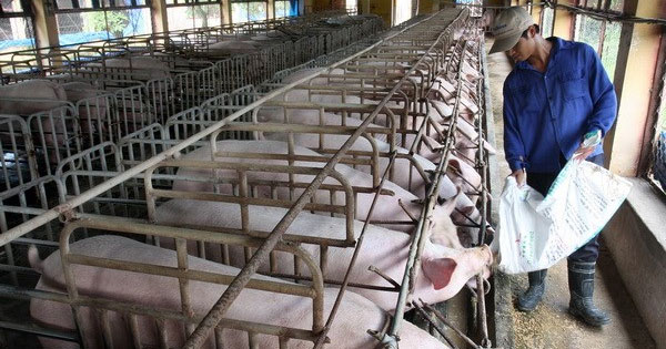 Mẫu đơn đề nghị hỗ trợ thiệt hại chăn nuôi do thiên tai