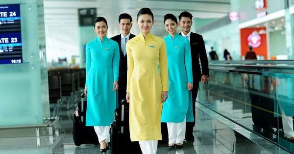 Đơn xin việc làm tiếp viên hàng không Vietnam Airlines