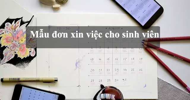 Mẫu đơn xin việc cho sinh viên - thiquocgia.vn