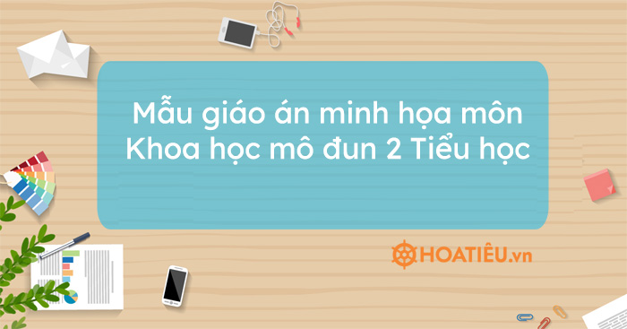 Mẫu giáo án minh họa môn Khoa học mô đun 2 Tiểu học