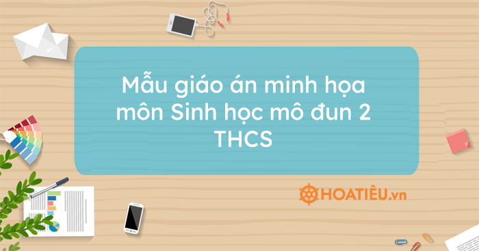 Mẫu giáo án minh họa môn Sinh học mô đun 2 THCS