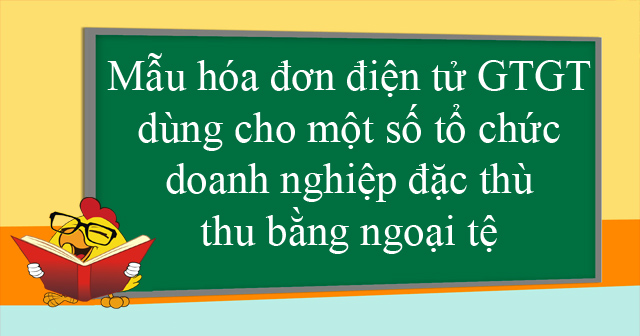 Mẫu hóa đơn điện tử GTGT dùng cho một số tổ chức, doanh nghiệp đặc thù thu bằng ngoại tệ