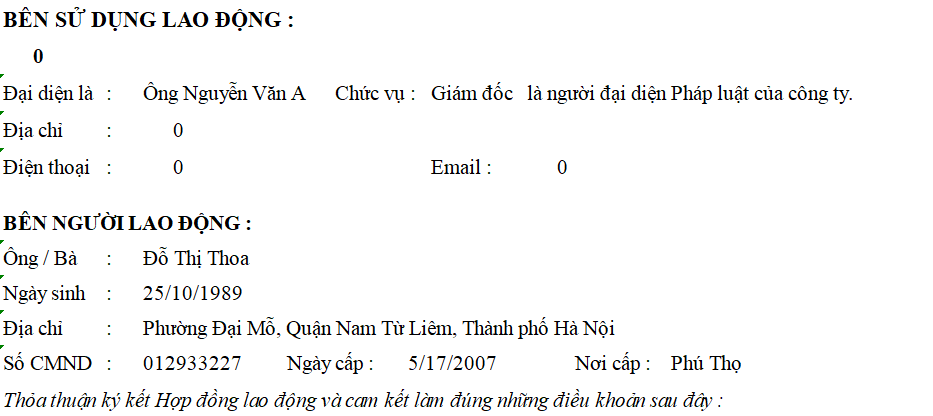 File excel HĐLĐ tự động