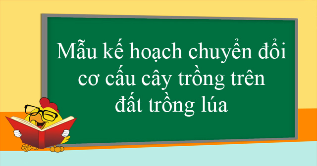 Mẫu kế hoạch chuyển đổi cơ cấu cây trồng trên đất trồng lúa