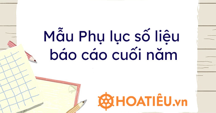 Mẫu Phụ lục số liệu báo cáo cuối năm 2021