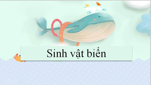 Mẫu slide giáo dục
