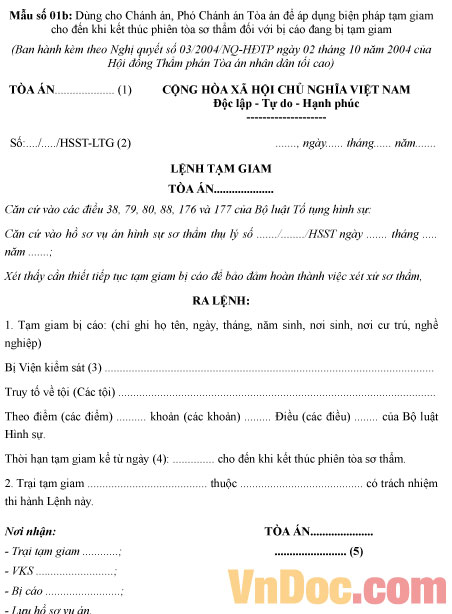 Mẫu số 01b - Lệnh tạm giam