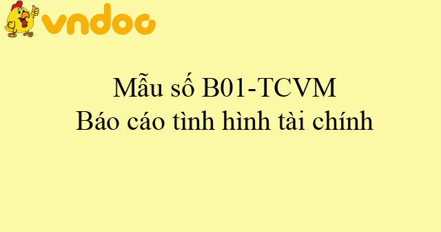 Mẫu số B01-TCVM: Báo cáo tình hình tài chính