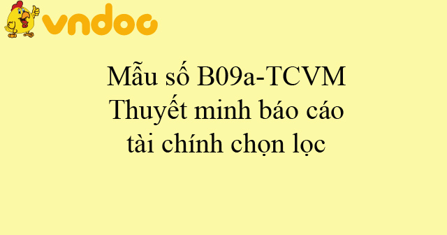 Mẫu số B09a-TCVM: Thuyết minh báo cáo tài chính chọn lọc