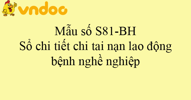 Mẫu số S81-BH: Sổ chi tiết chi tai nạn lao động, bệnh nghề nghiệp