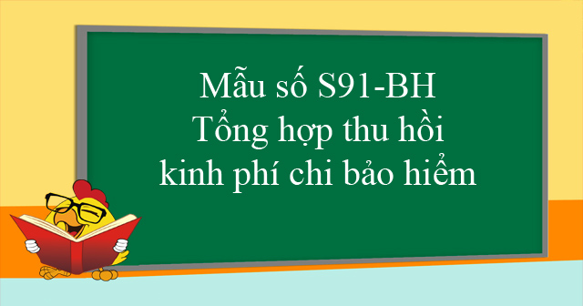 Mẫu số S91-BH: Tổng hợp thu hồi kinh phí chi bảo hiểm
