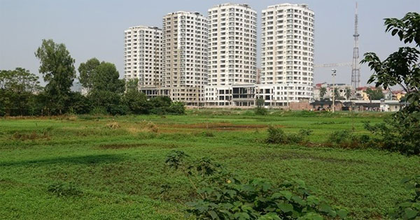 Mẫu tờ trình chuyển mục đích sử dụng đất